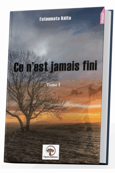 CE N'EST JAMAIS FINI (Tome I)