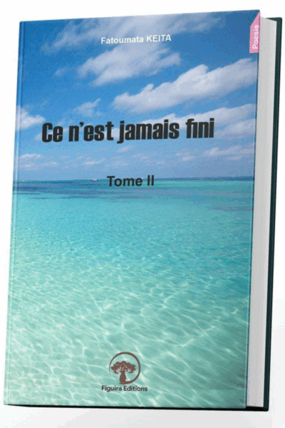 CE N'EST JAMAIS FINI (Tome II)
