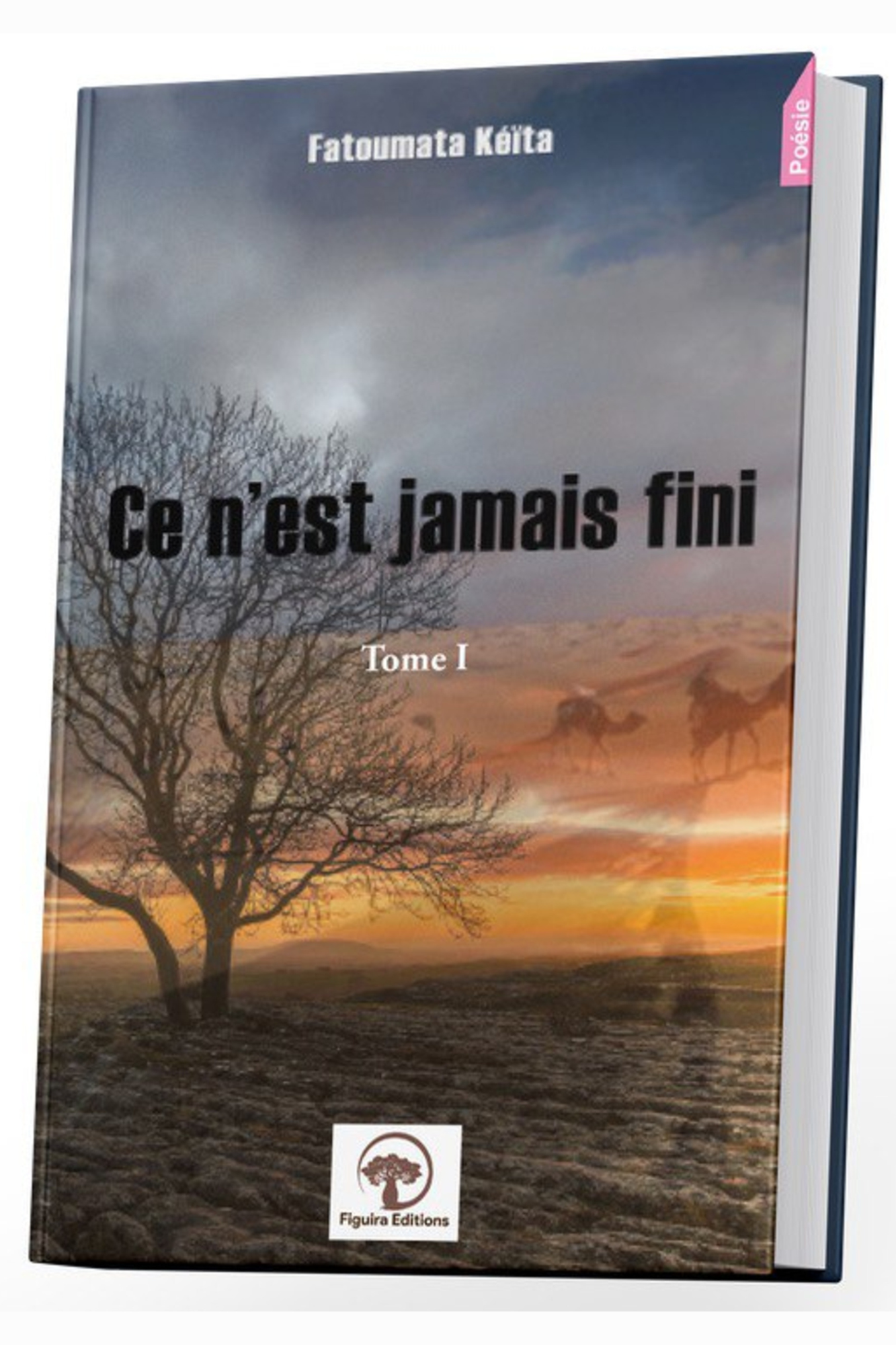 CE N'EST JAMAIS FINI (Tome I)