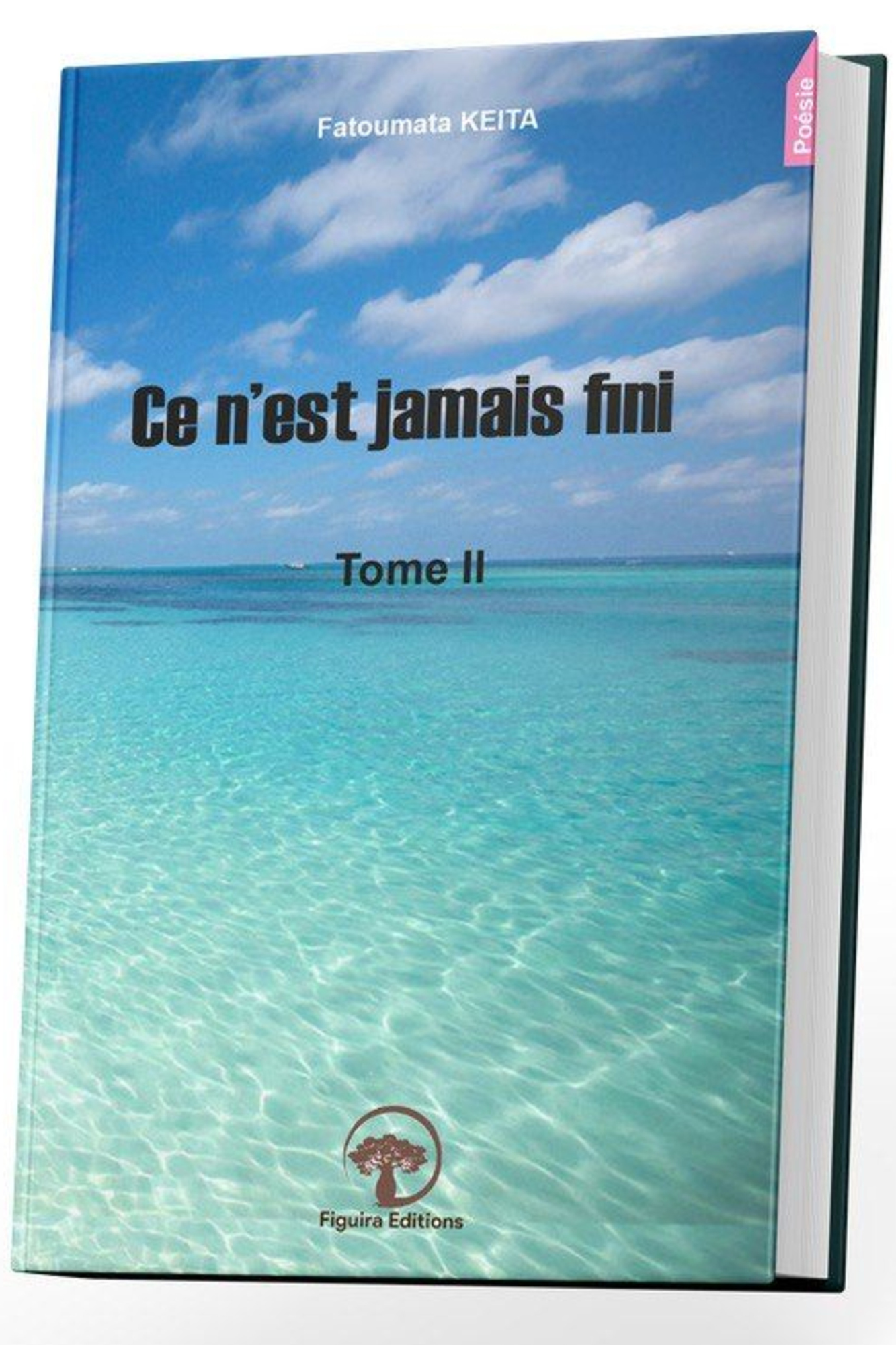 CE N'EST JAMAIS FINI (Tome II)