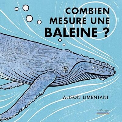 COMBIEN MESURE UNE BALEINE
